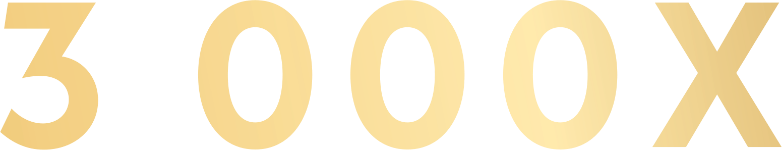 3 000x